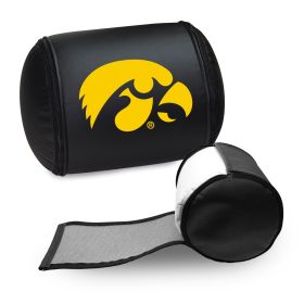 Iowa Hawkeyes Logo Panel (Logo Panel Size: 30" Panel with Display Pillow)